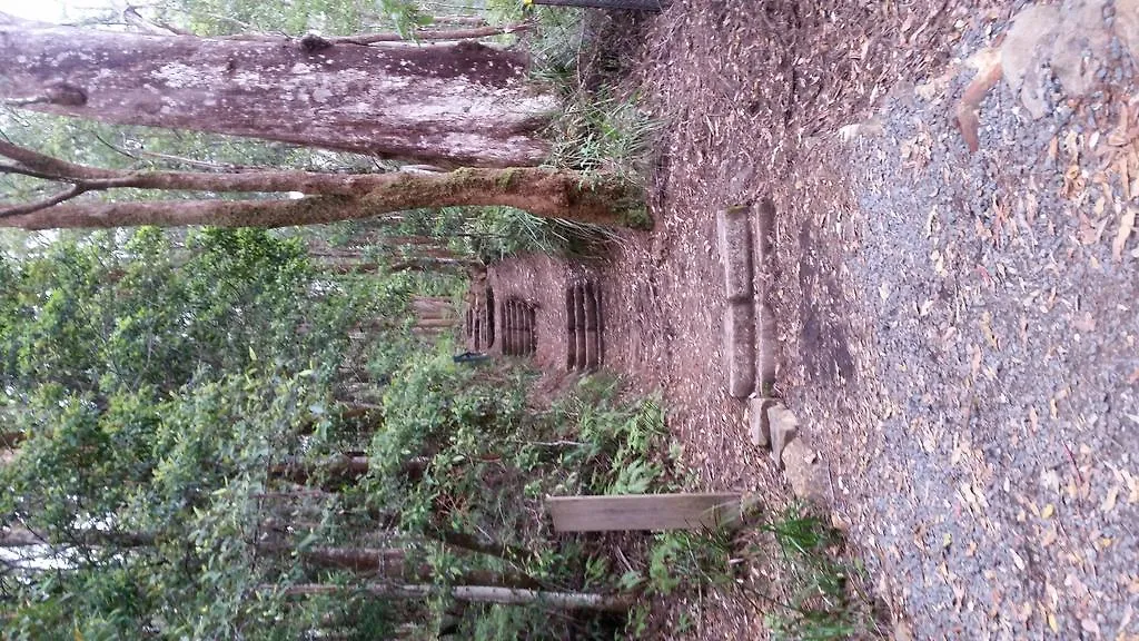 Country house Buddha Cottage Springbrook Australia