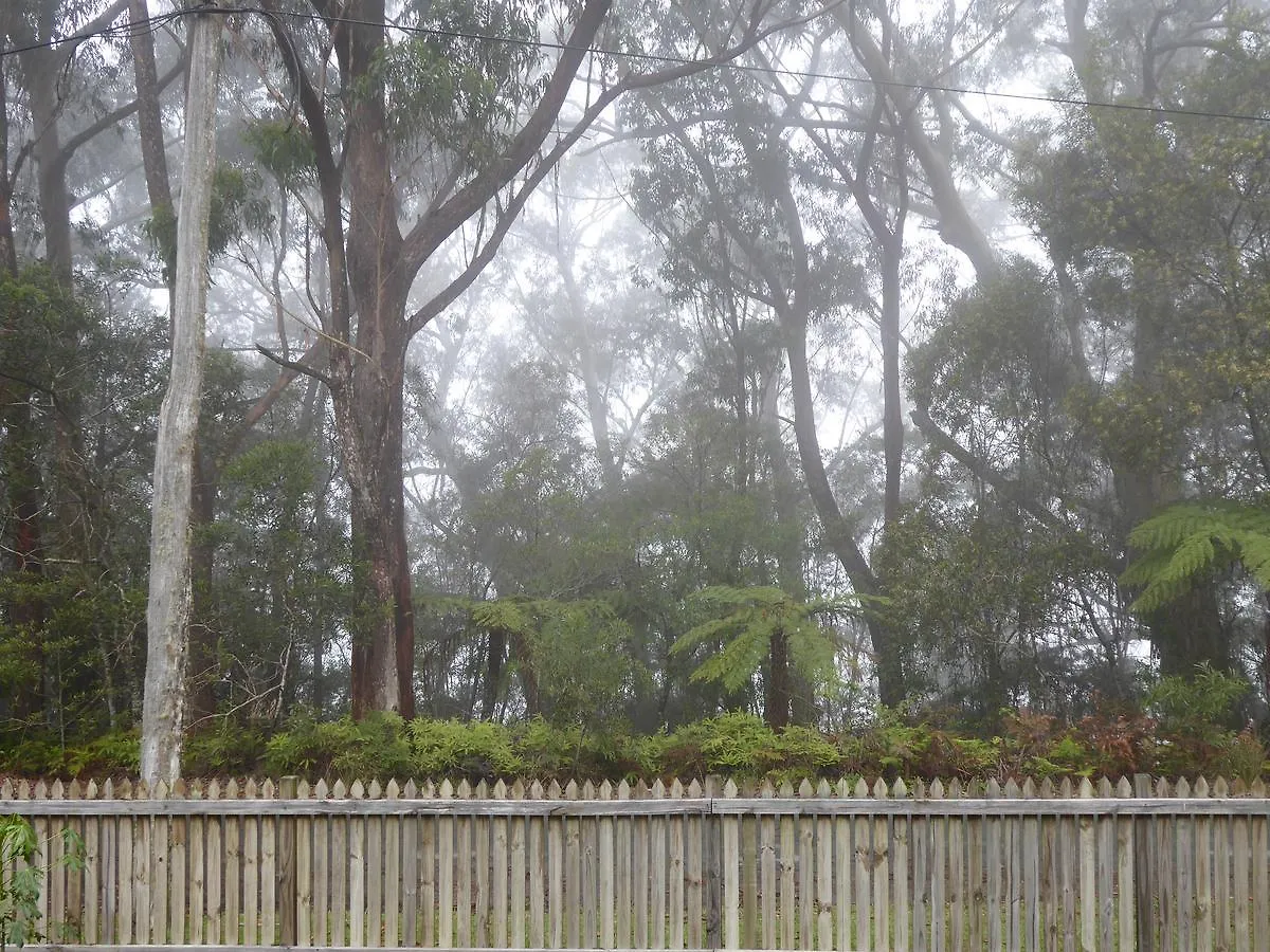 Buddha Cottage Springbrook Country house