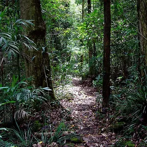  Lodge Lyrebird Retreat